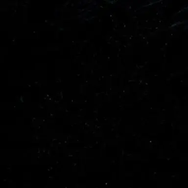 Profile image of 벨키