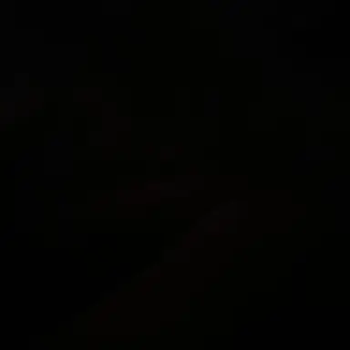 Profile image of 한동민