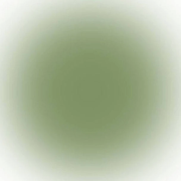 亮平