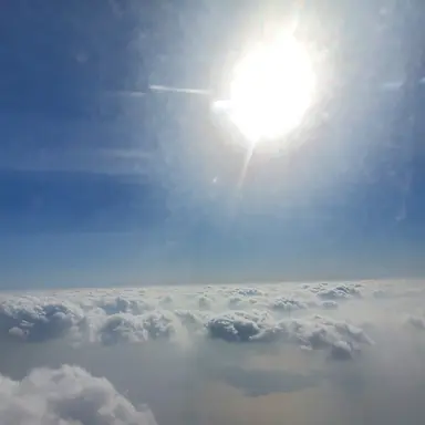 Profile image of 미수반