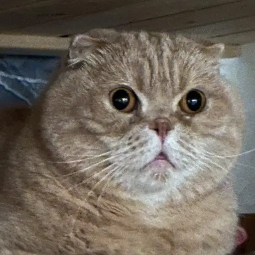 Cqcqyen의 지은