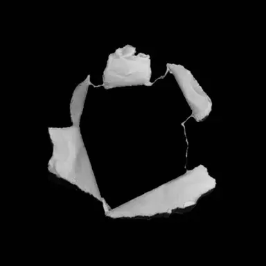 Profile image of 남주원