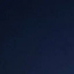 Profile image of 鯉登音之進