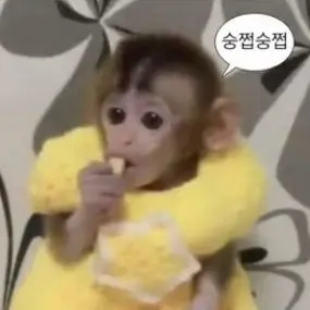 Profile image of 씨변태