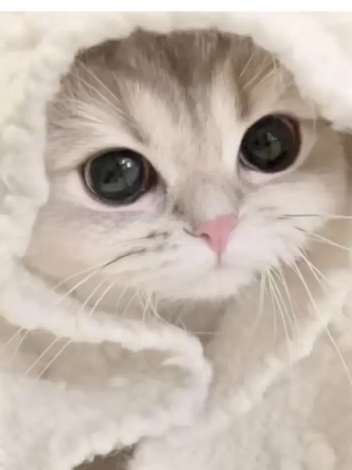 PoorPage4739의 친오빠들 공감 시리즈