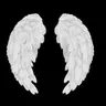 Profile image of F
