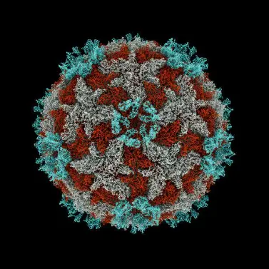 SergioMayarcher의 전염병 RPG