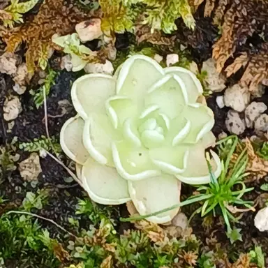 Profile image of 각별