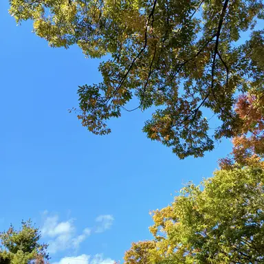 Profile image of 공룡