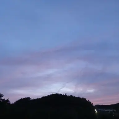 Profile image of 수현