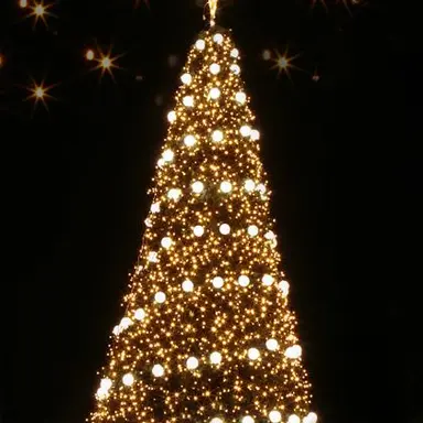 Profile image of 웰시스