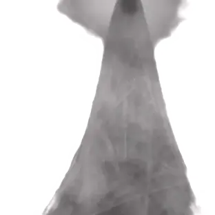 Profile image of 미스틱플라워