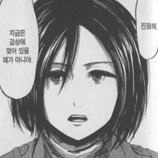 Profile image of 미카사 아커만