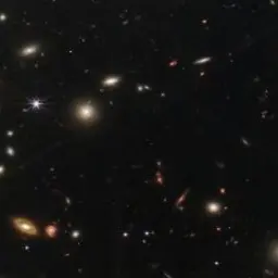 Profile image of 여우