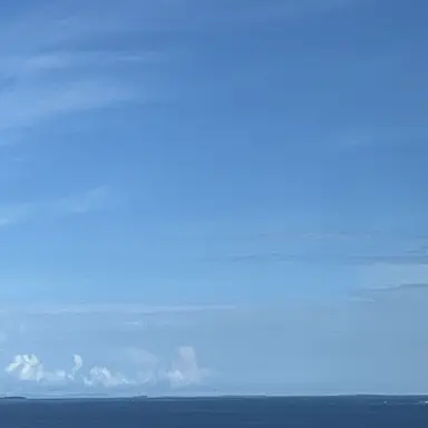 Profile image of 아카이로 류