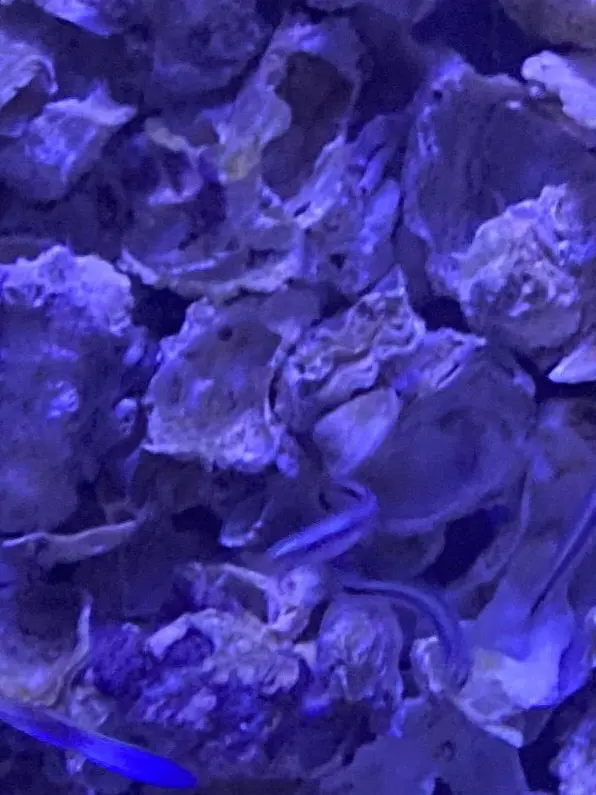 Shiro014의 ねぇもうちょっとだけ