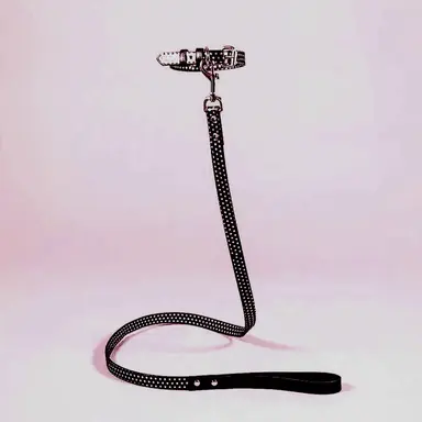 Profile image of Ha-in