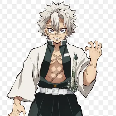 Profile image of 시나즈가와 사네미