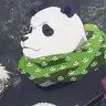 Profile image of 판다