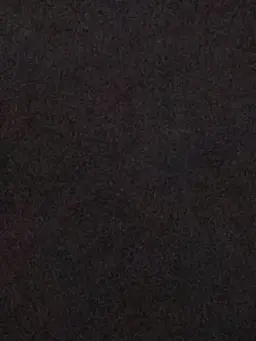 Desnorris123의 제빈 타임 패러독스