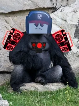 Profile image of 타이탄 게스트