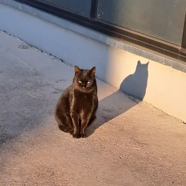 Profile image of 강지후