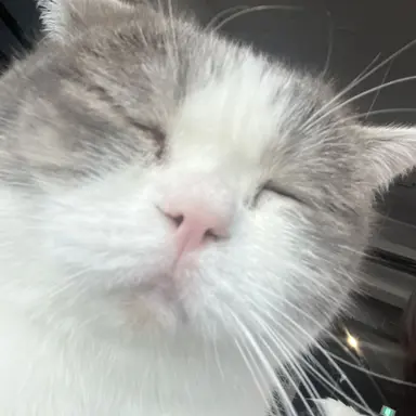 Profile image of 안예린