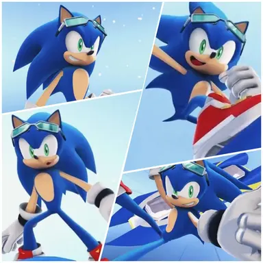 Profile image of Riders Sonic