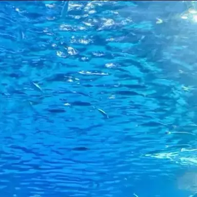 Profile image of 연이