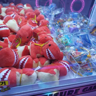 Profile image of 감제이