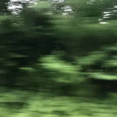 Profile image of 정형준