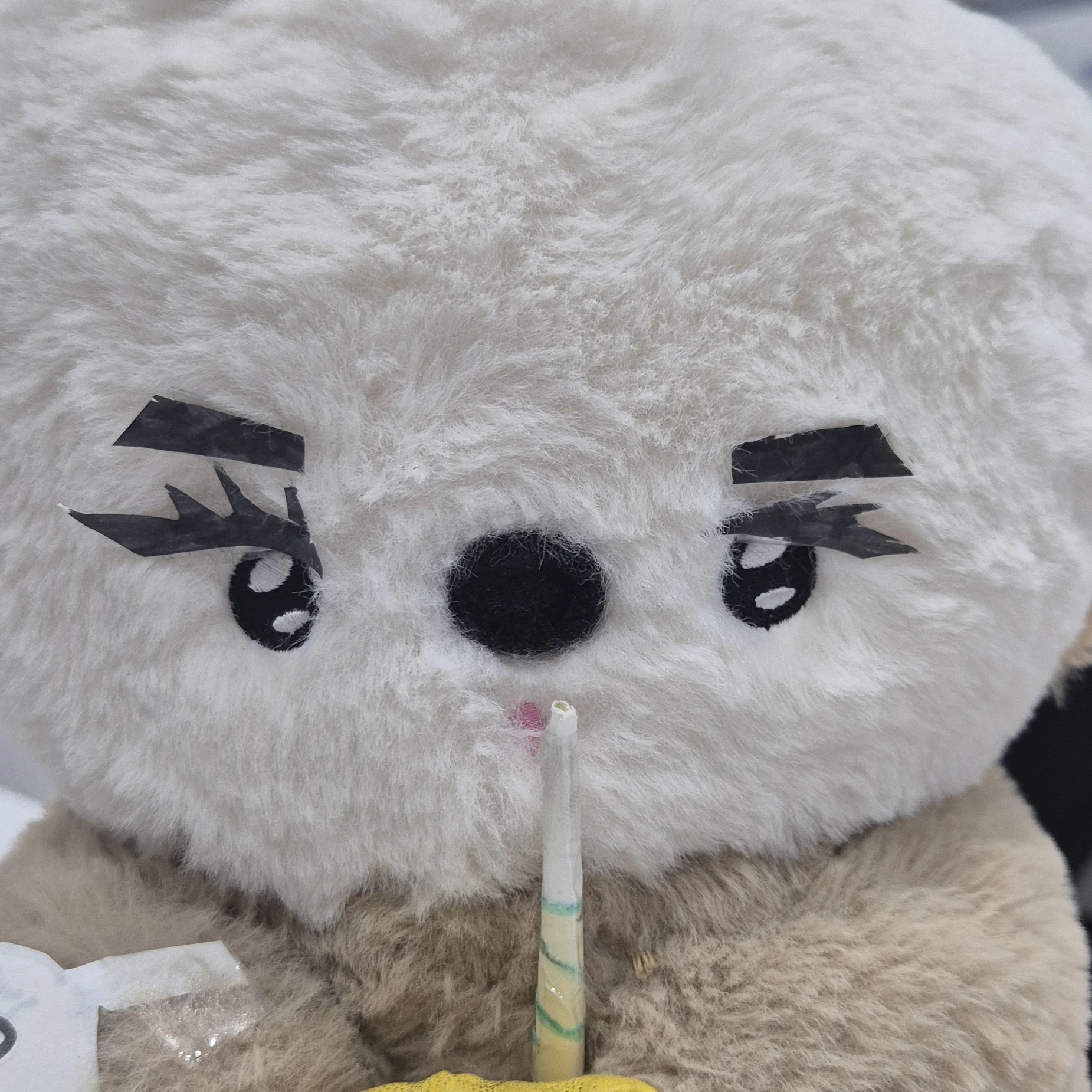 스텔리