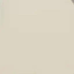 Profile image of モノ クマ