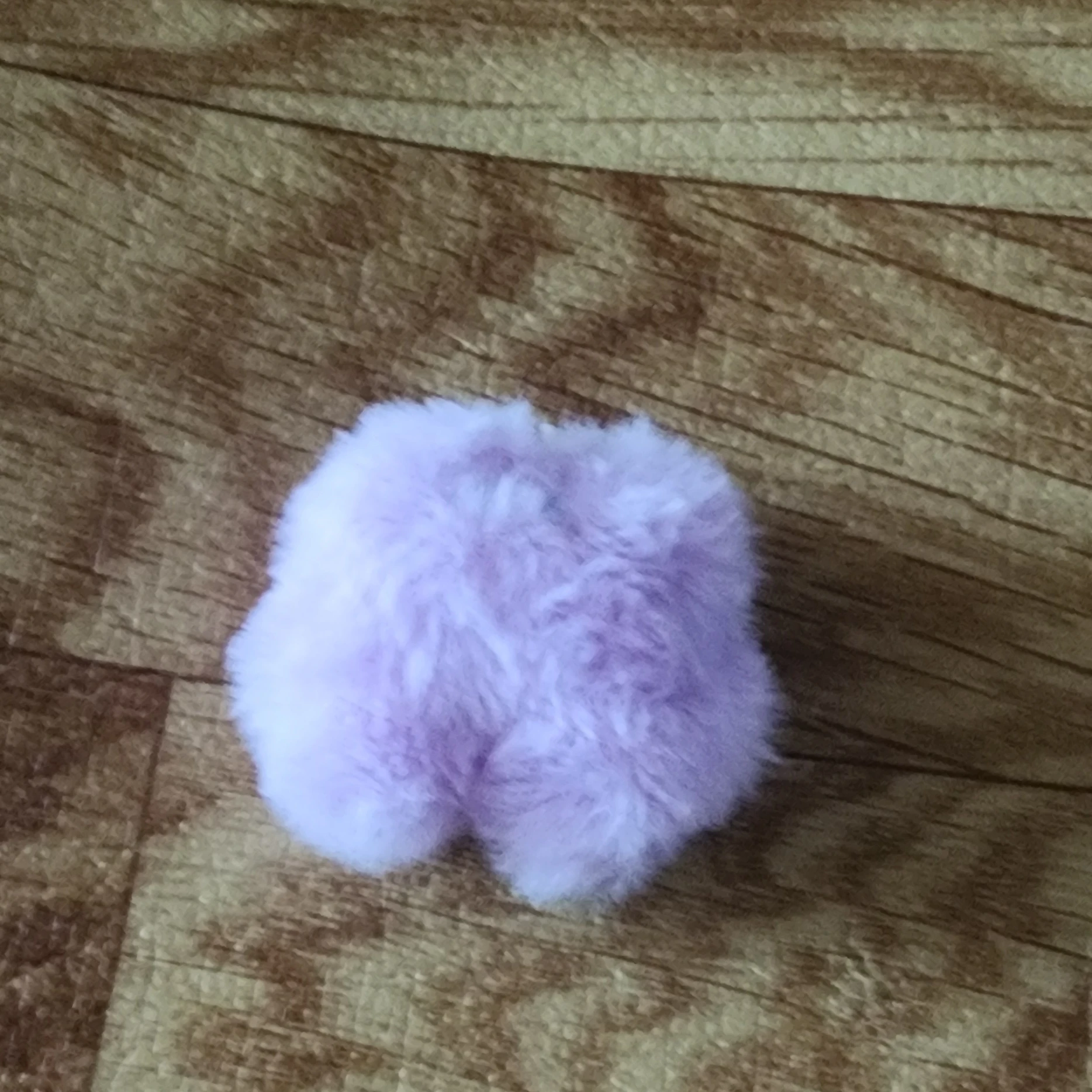 보라