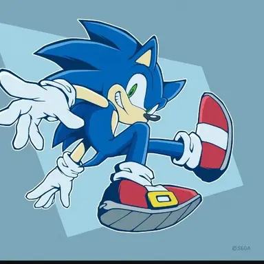 Profile image of ソニック