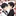 君に仕える2人の執事