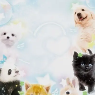 Profile image of ジョンウォン