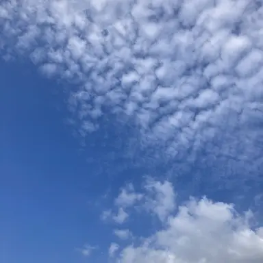 Profile image of ヒスン