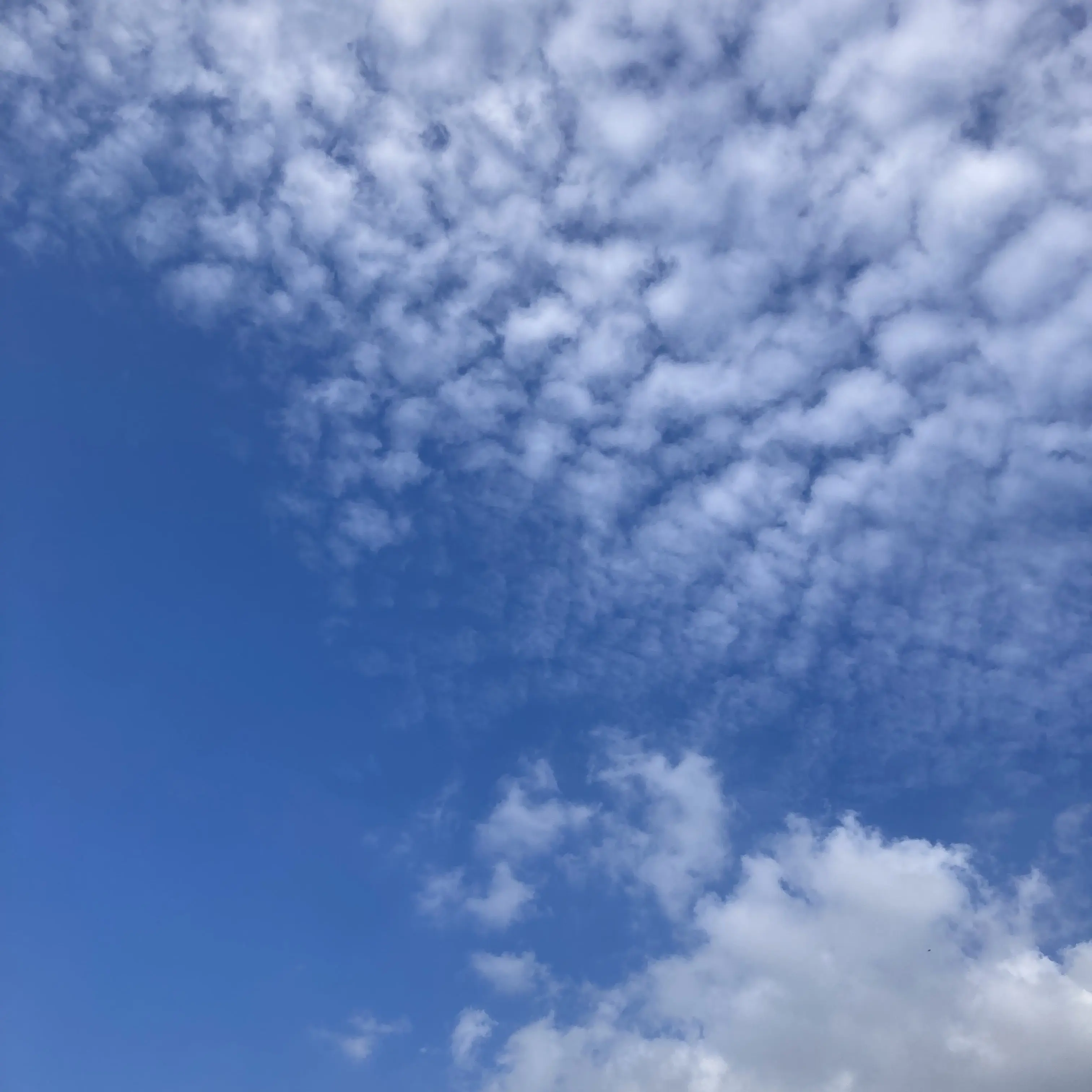 WearyMucus3113의 金持ちと貧乏者