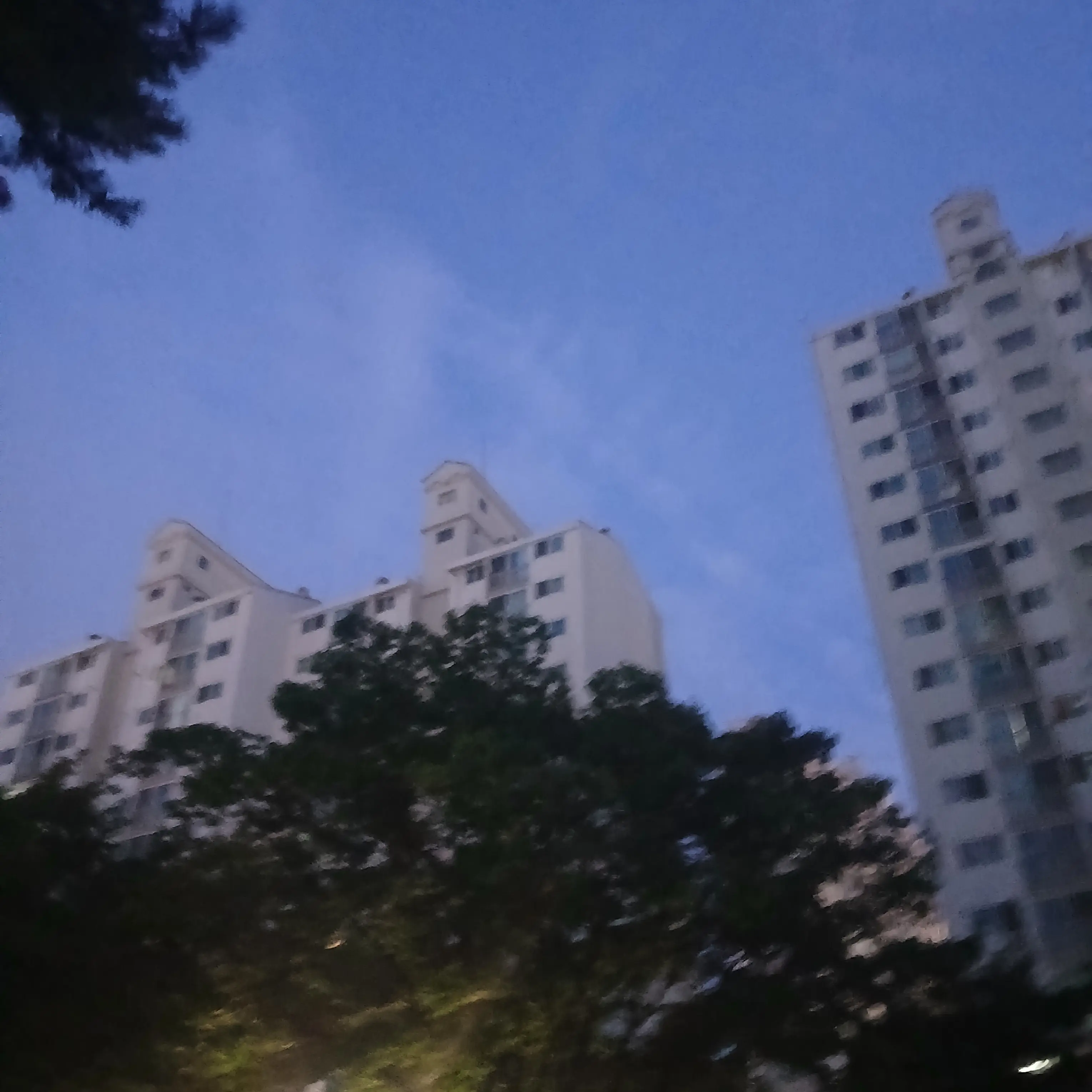 MistyCloth4435의 17년지기 남자친구네 