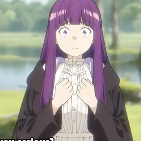 HungryFloss9617의 意地悪なフリーレン