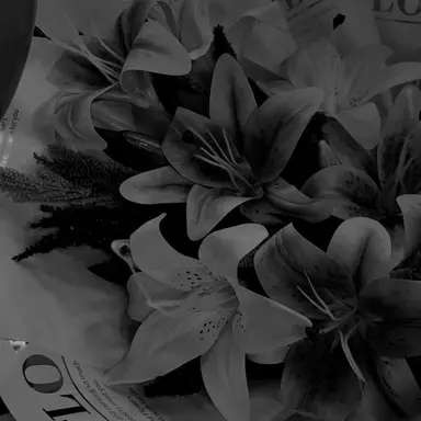 Profile image of 시미베