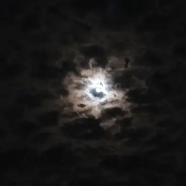 Profile image of 고아온