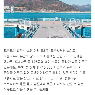 Profile image of 유이라