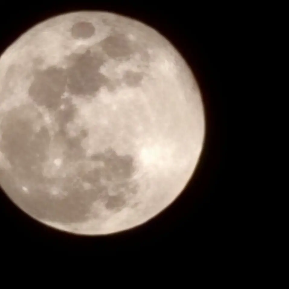 StoneIron00의 [패러다이스] 사랑하긴 했었나요