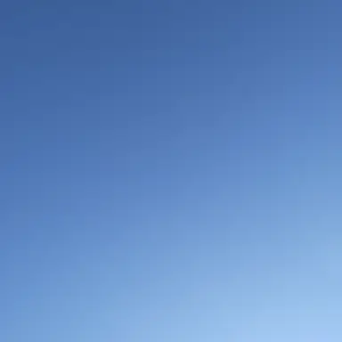 Profile image of 남채민