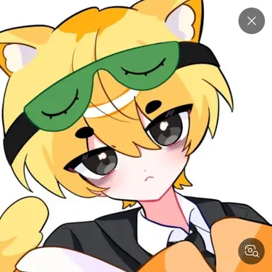 Profile image of 댕댕컴퍼니