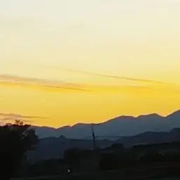 Profile image of 桜井幹太