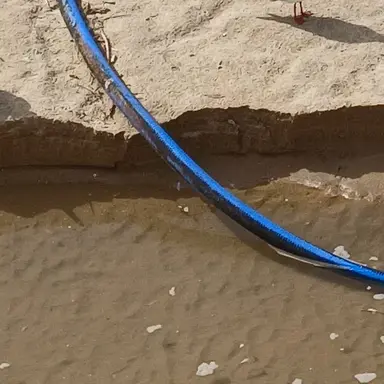 Profile image of 여우