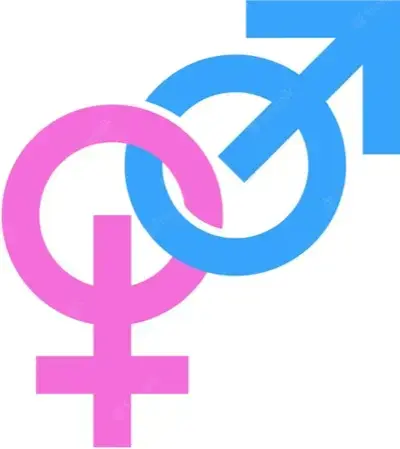 CherryAnger6918의 Nexus: Gender Transformation AI